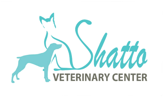 Shatto Veterinary Clinic in Koreatown LA