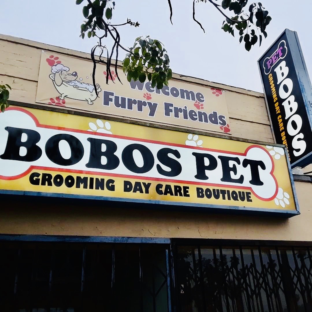 Bobos Pet Grooming in Koreatown LA