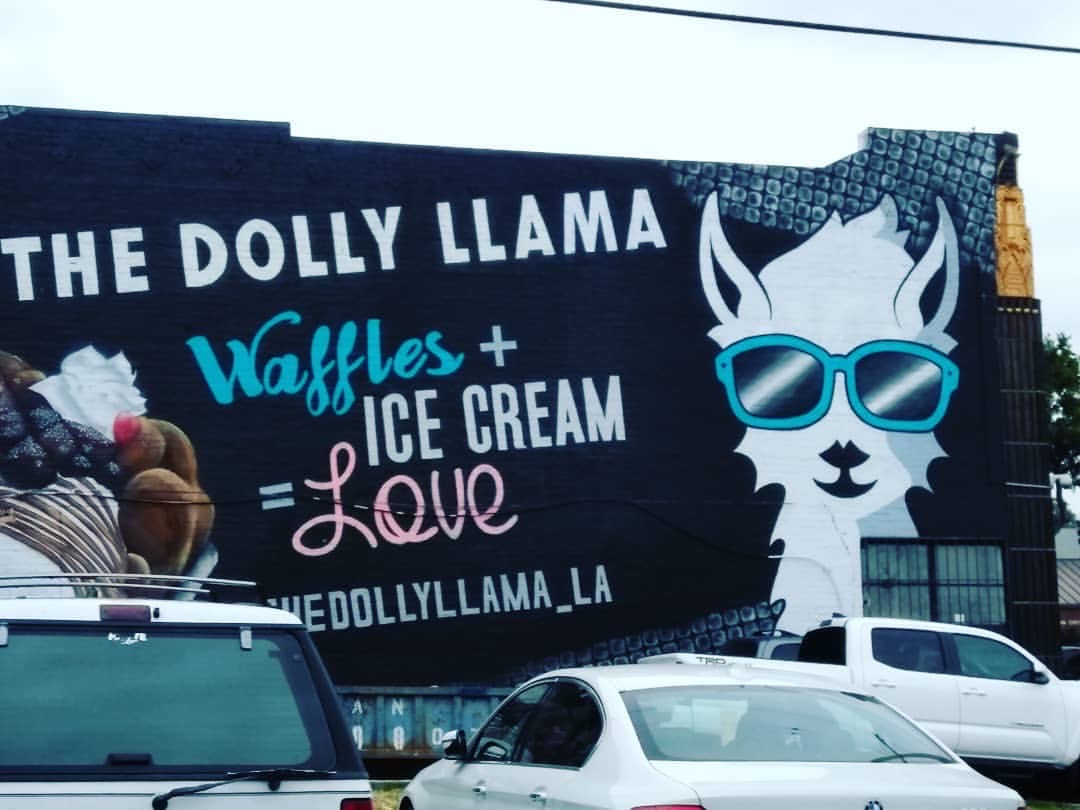 The Dolly Llama in Koreatown LA
