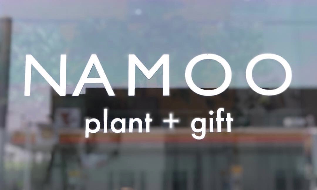 Namoo Plant Shop in Koreatown LA