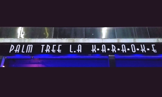 Palm Tree Karaoke in Koreatown LA